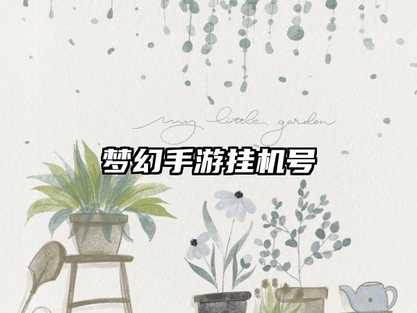 梦幻手游挂机号