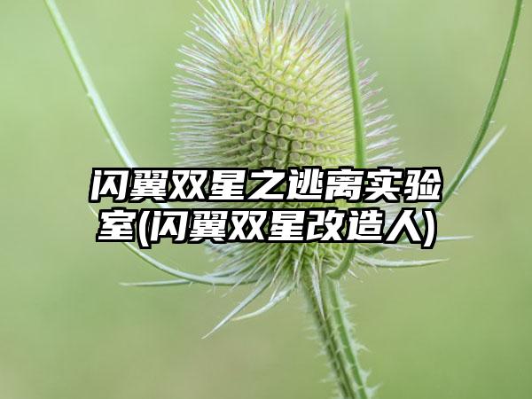 闪翼双星之逃离实验室(闪翼双星改造人)