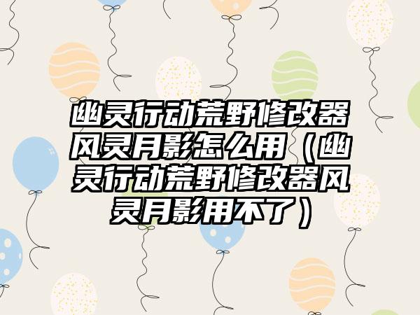 幽灵行动荒野修改器风灵月影怎么用（幽灵行动荒野修改器风灵月影用不了）
