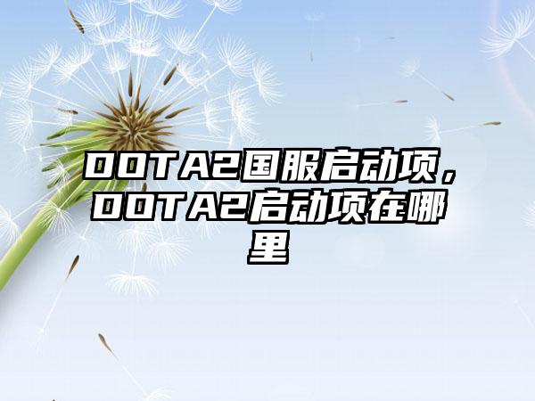 DOTA2国服启动项，DOTA2启动项在哪里
