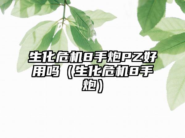 生化危机8手炮PZ好用吗（生化危机8手炮）