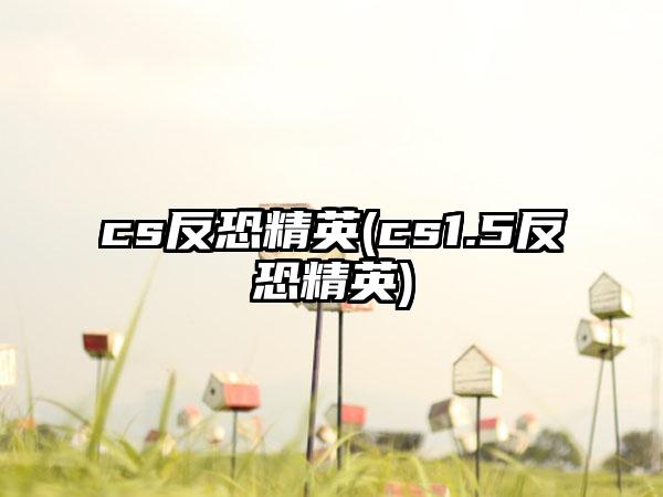 cs反恐精英(cs1.5反恐精英)