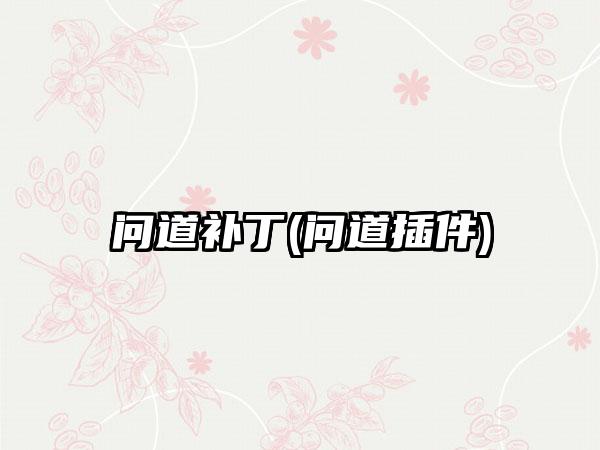 问道补丁(问道插件)