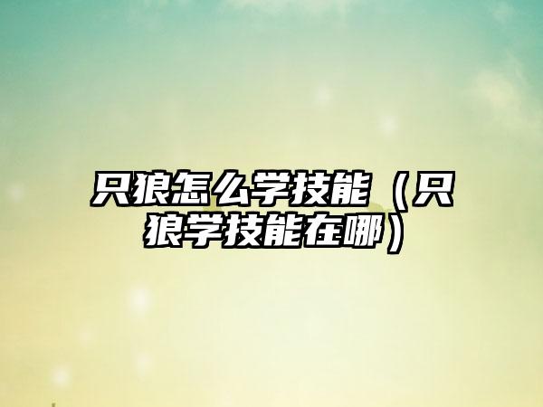 只狼怎么学技能（只狼学技能在哪）