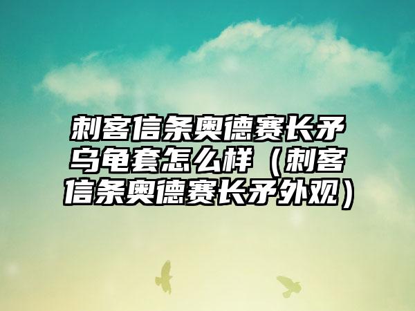 刺客信条奥德赛长矛乌龟套怎么样（刺客信条奥德赛长矛外观）