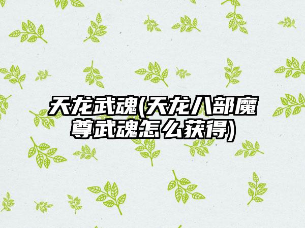 天龙武魂(天龙八部魔尊武魂怎么获得)