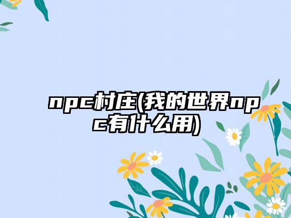 npc村庄(我的世界npc有什么用)