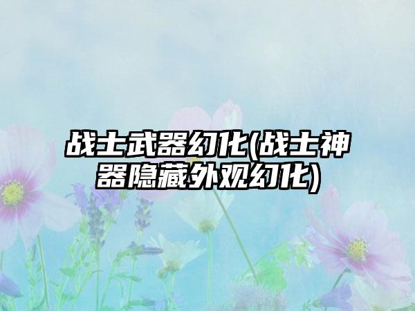 战士武器幻化(战士神器隐藏外观幻化)