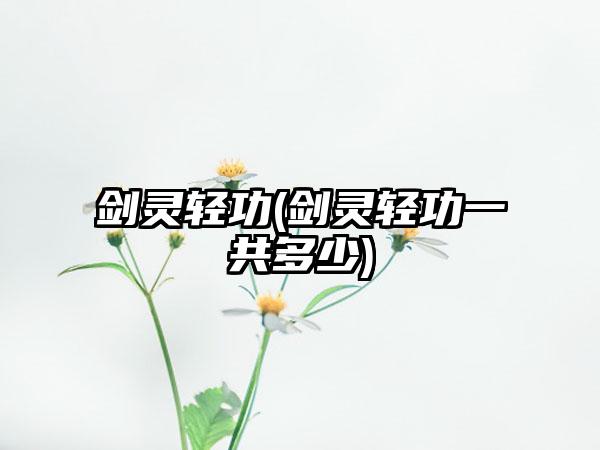剑灵轻功(剑灵轻功一共多少)