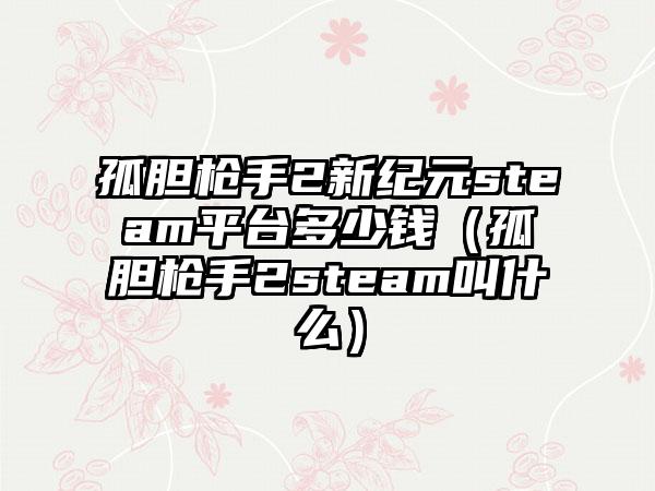 孤胆枪手2新纪元steam平台多少钱（孤胆枪手2steam叫什么）