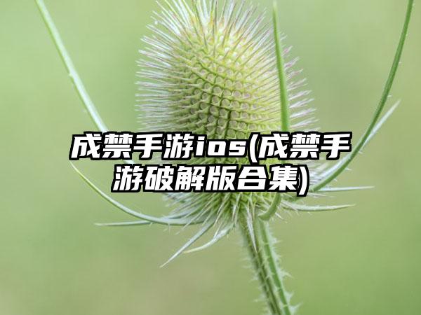 成禁手游ios(成禁手游破解版合集)