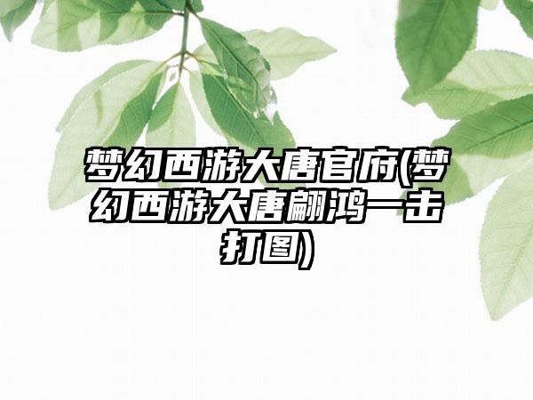 梦幻西游大唐官府(梦幻西游大唐翩鸿一击打图)