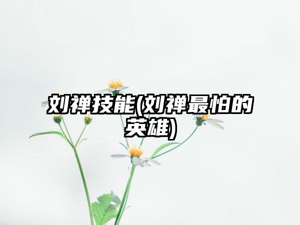 刘禅技能(刘禅最怕的英雄)