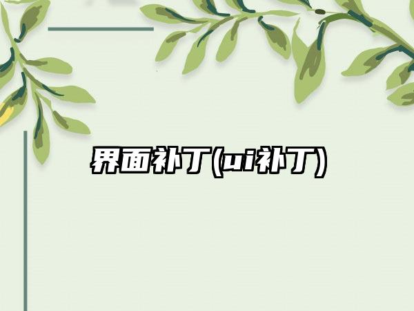 界面补丁(ui补丁)