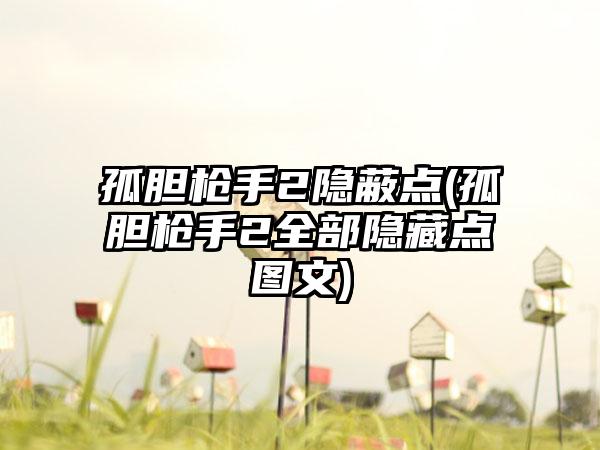 孤胆枪手2隐蔽点(孤胆枪手2全部隐藏点图文)