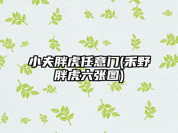 小夫胖虎任意门(禾野胖虎六张图)