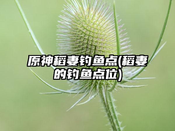 原神稻妻钓鱼点(稻妻的钓鱼点位)