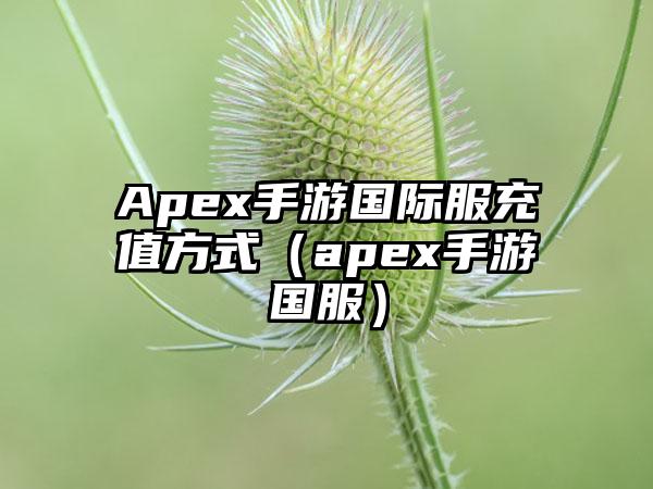 Apex手游国际服充值方式（apex手游国服）