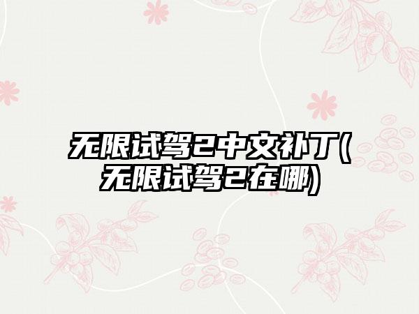 无限试驾2中文补丁(无限试驾2在哪)