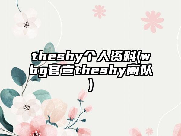 theshy个人资料(wbg官宣theshy离队)