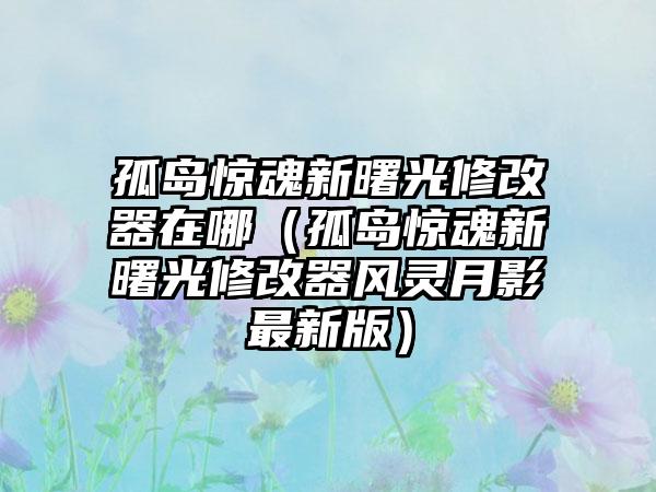 孤岛惊魂新曙光修改器在哪（孤岛惊魂新曙光修改器风灵月影最新版）