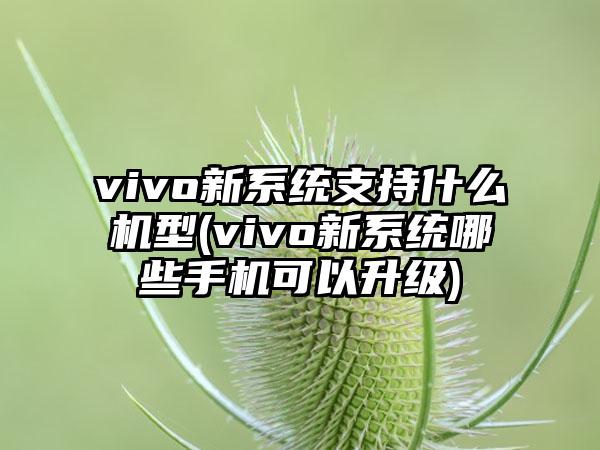 vivo新系统支持什么机型(vivo新系统哪些手机可以升级)