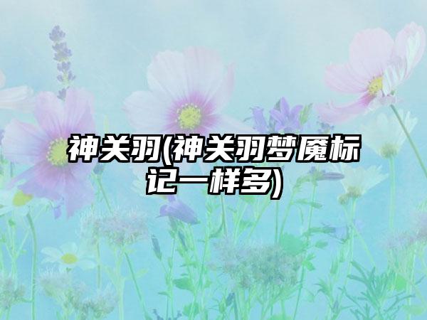 神关羽(神关羽梦魇标记一样多)
