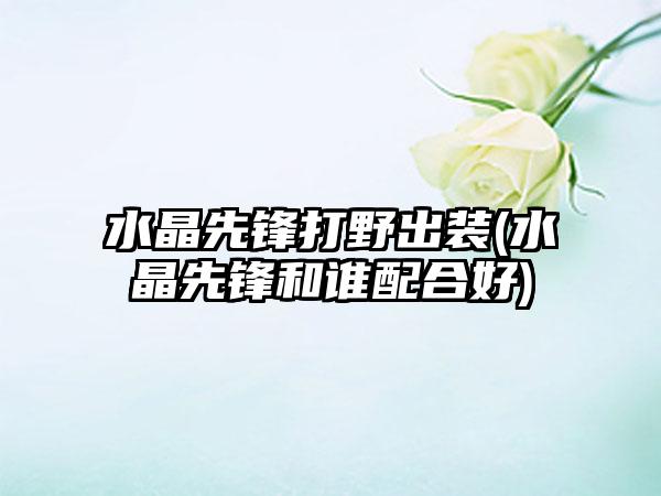 水晶先锋打野出装(水晶先锋和谁配合好)