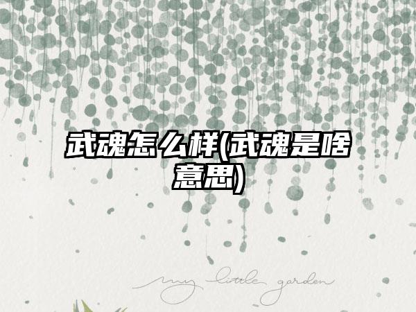 武魂怎么样(武魂是啥意思)