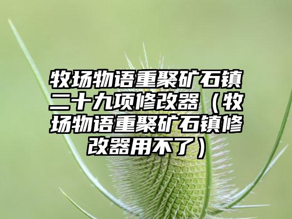 牧场物语重聚矿石镇二十九项修改器（牧场物语重聚矿石镇修改器用不了）