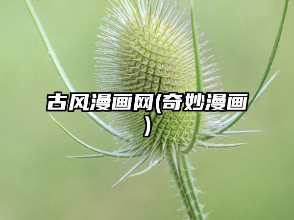 古风漫画网(奇妙漫画)
