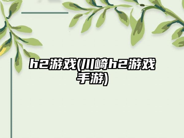 h2游戏(川崎h2游戏手游)