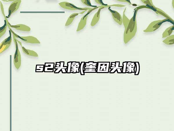 s2头像(奎因头像)