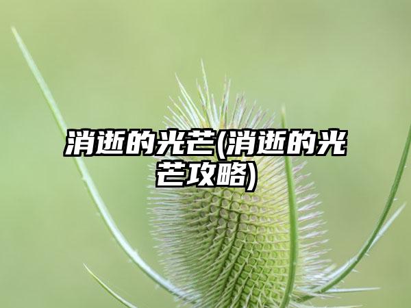 消逝的光芒(消逝的光芒攻略)