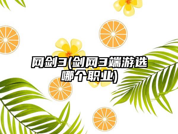 网剑3(剑网3端游选哪个职业)