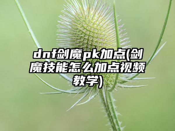dnf剑魔pk加点(剑魔技能怎么加点视频教学)