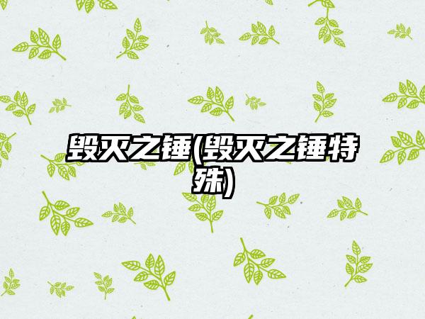 毁灭之锤(毁灭之锤特殊)