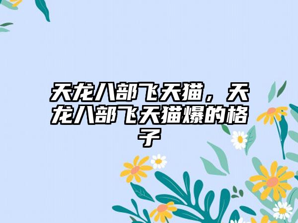 天龙八部飞天猫，天龙八部飞天猫爆的格子