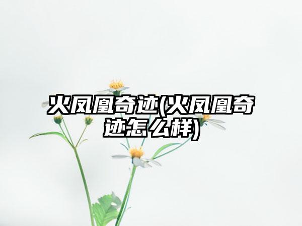 火凤凰奇迹(火凤凰奇迹怎么样)