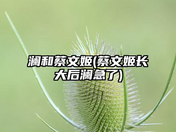 澜和蔡文姬(蔡文姬长大后澜急了)