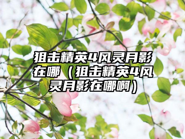 狙击精英4风灵月影在哪（狙击精英4风灵月影在哪啊）