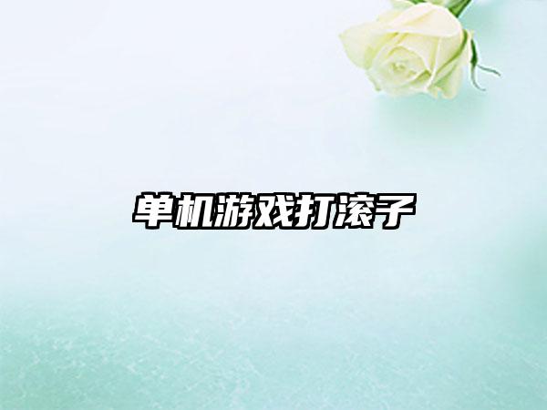 单机游戏打滚子