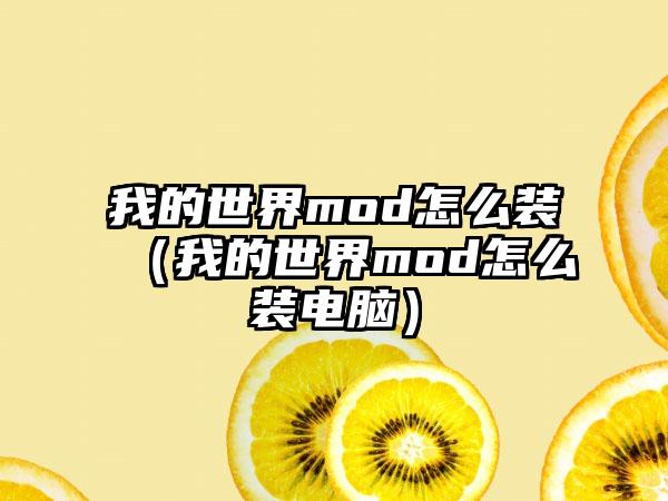 我的世界mod怎么装（我的世界mod怎么装电脑）