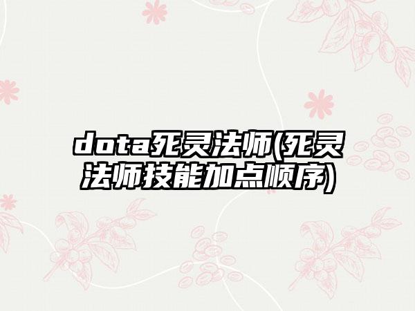 dota死灵法师(死灵法师技能加点顺序)