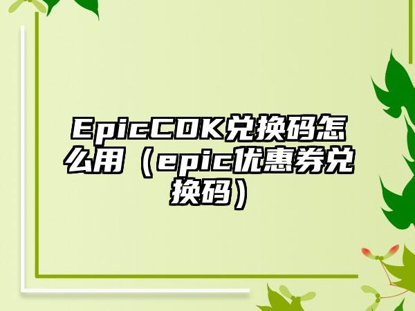 EpicCDK兑换码怎么用（epic优惠券兑换码）