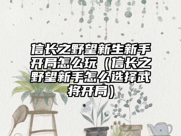 信长之野望新生新手开局怎么玩（信长之野望新手怎么选择武将开局）