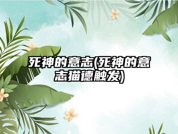 死神的意志(死神的意志猫德触发)