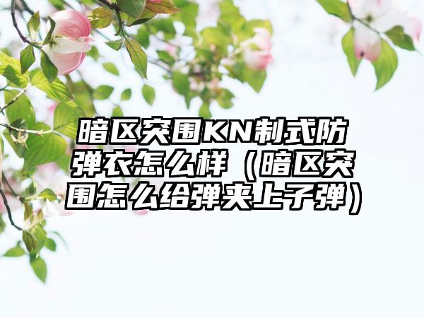 暗区突围KN制式防弹衣怎么样（暗区突围怎么给弹夹上子弹）