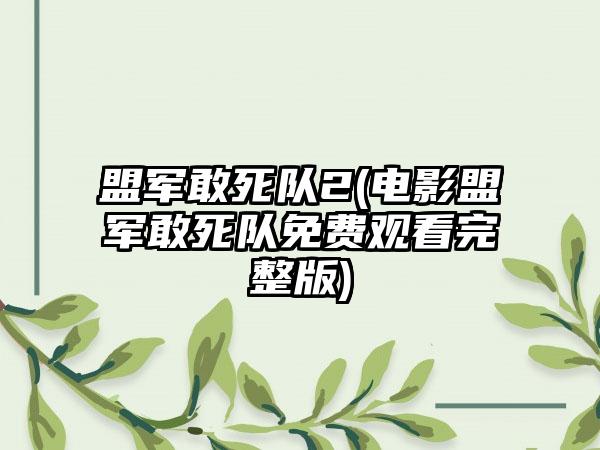 盟军敢死队2(电影盟军敢死队免费观看完整版)