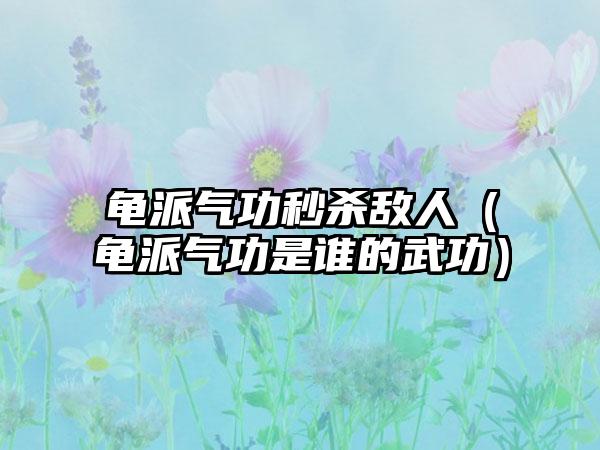 龟派气功秒杀敌人（龟派气功是谁的武功）